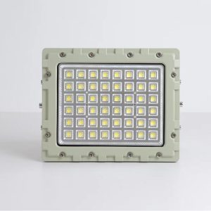 Đèn chống cháy nổ 70w (TDL-GJK-TGD) Thành Đạt Led