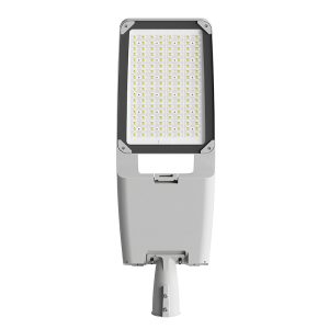 Đèn đường phố cao cấp 250w (TDL-JZ) Thành Đạt Led